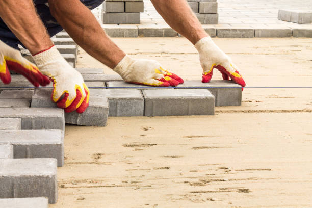 Best Driveway Paving Contractor  in Winfield, TN